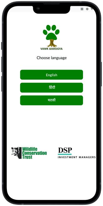 Slider image with loader
